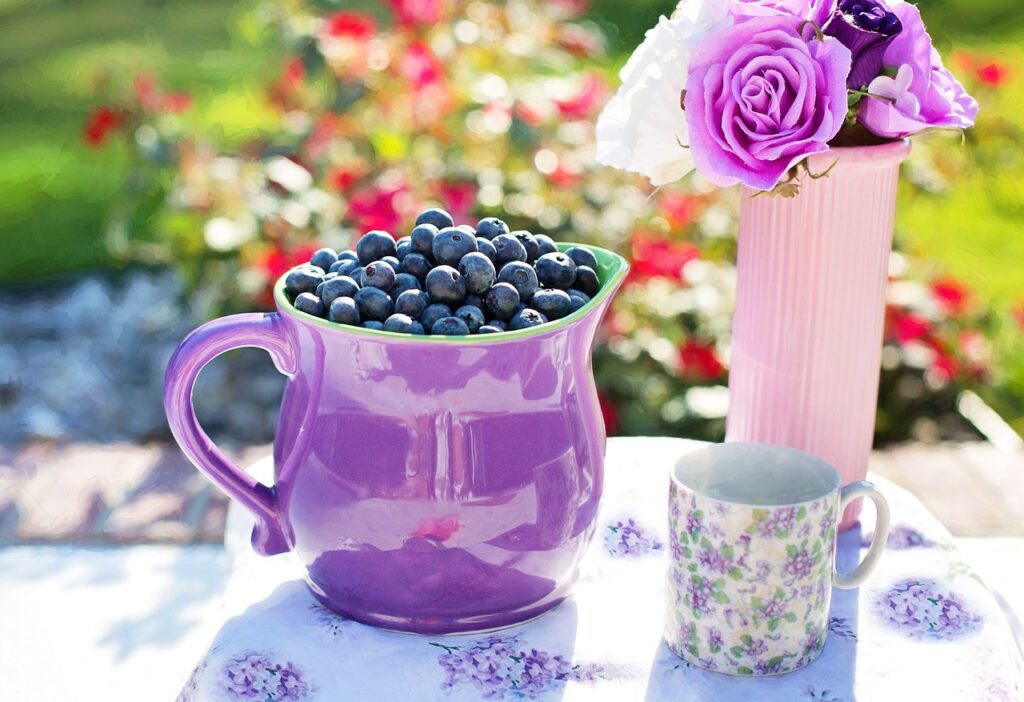 blueberries, summer, fruit
